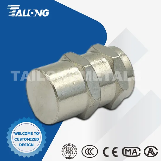 CNC Machined Stainless Steel Bolts and Nuts 