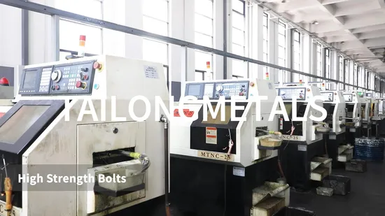 Customized High Strength Stainless Steel Bolts and Nuts 
