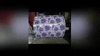 Hot Selling 2020 Low Price PPGI and PPGL 