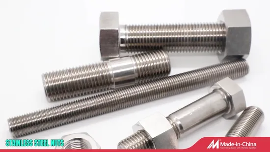 Stainless Steel 304 316 Flange Bolt/Carriage Bolt/Square Bolt/T Bolt/U Bolt/Bolts and Nuts/Through Bolt/Wedge Anchor 